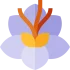 زعفران